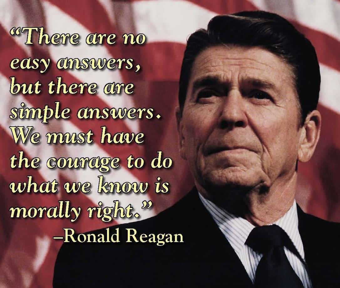 Reagan Quote Government Program